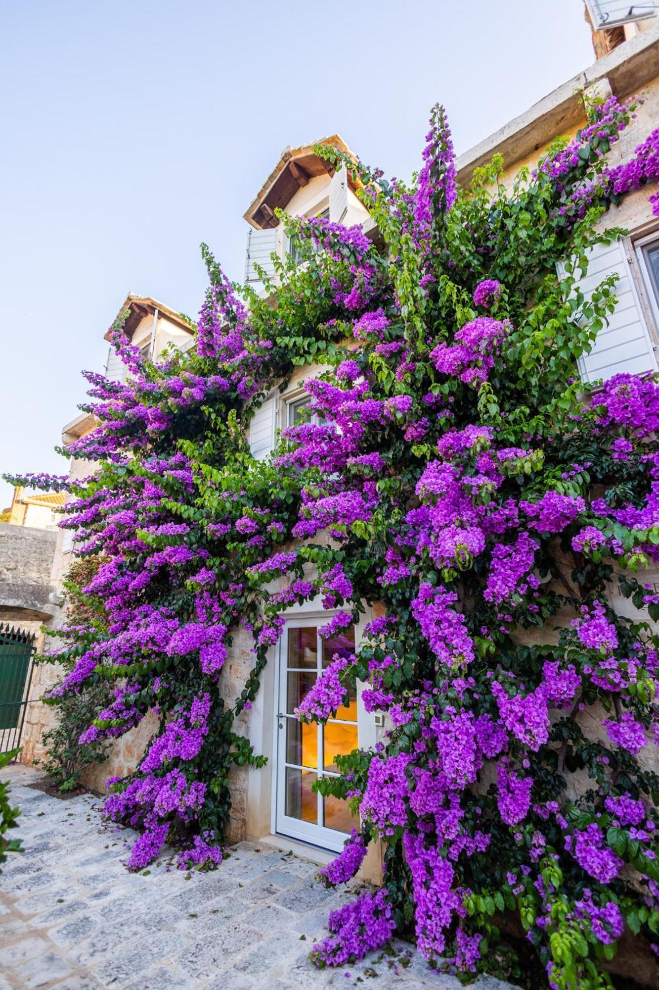Hotel Lemongarden - Adults Only Sutivan Exterior foto