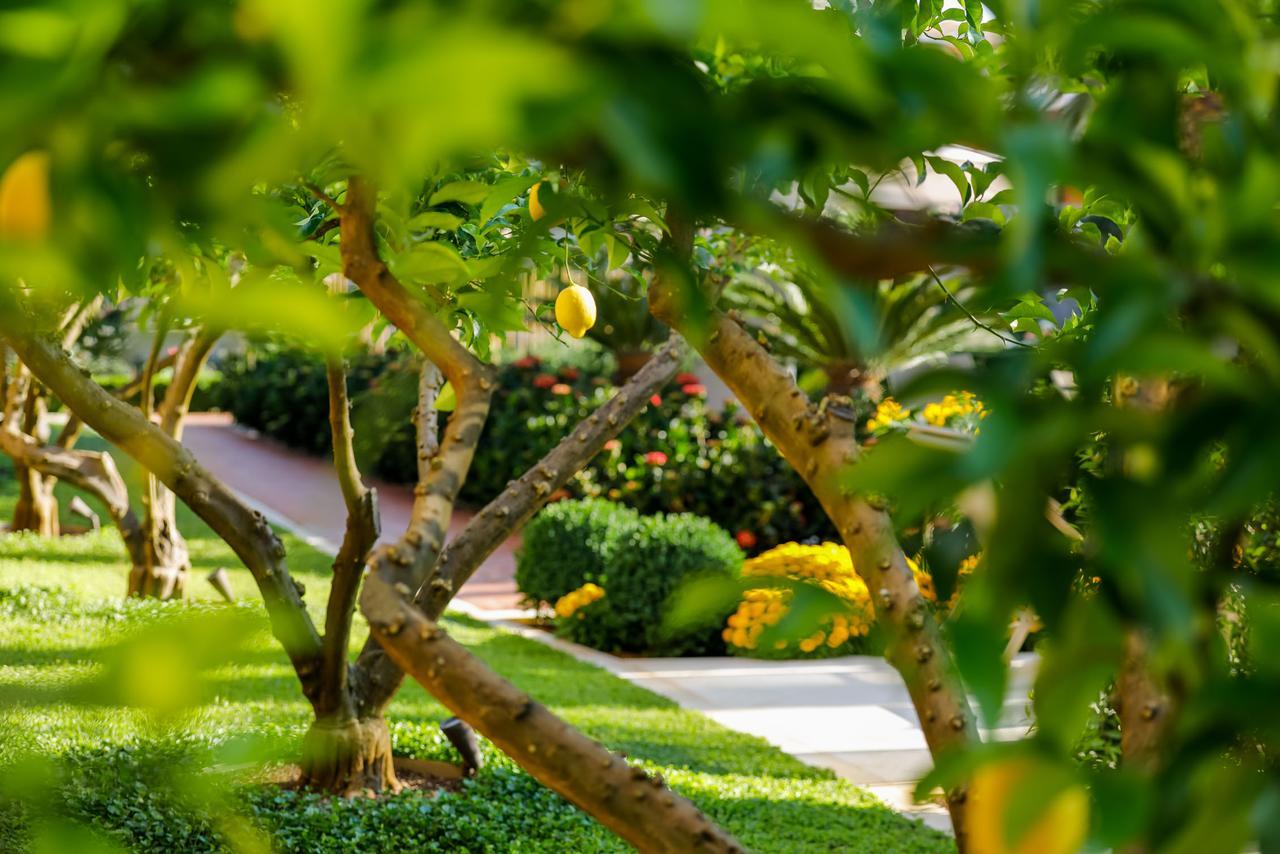 Hotel Lemongarden - Adults Only Sutivan Exterior foto